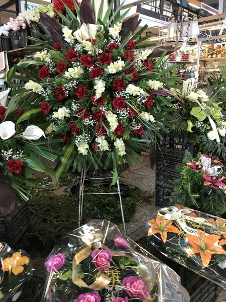 f:id:fuwari-x:20190722145730j:plain