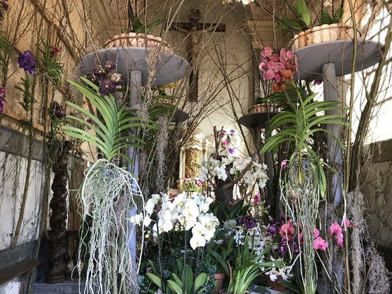 f:id:fuwari-x:20190722165642j:plain