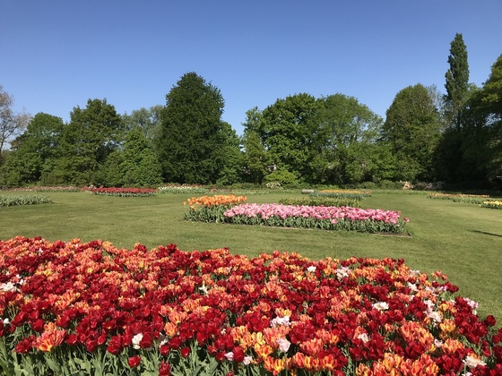 f:id:fuwari-x:20190722165709j:plain