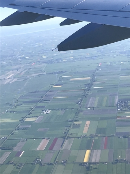 f:id:fuwari-x:20190722170423j:plain f:id:fuwari-x:20190722170423j:plain