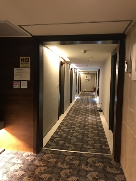 f:id:fuwari-x:20190730110829j:plain