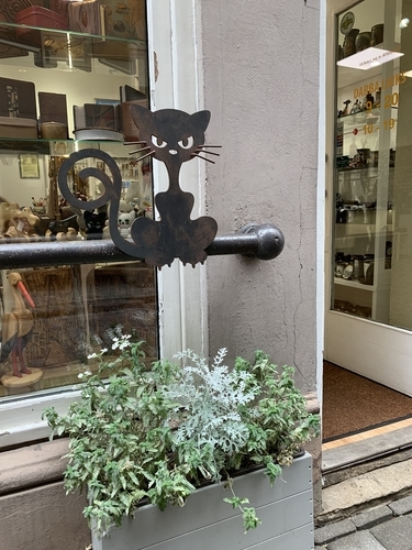 f:id:fuwari-x:20190823110951j:plain f:id:fuwari-x:20190823110951j:plain