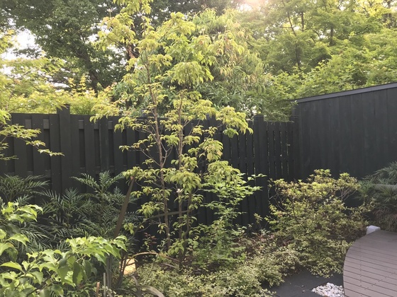 f:id:fuwari-x:20190829145444j:plain
