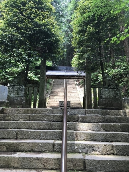 f:id:fuwari-x:20190829145700j:plain