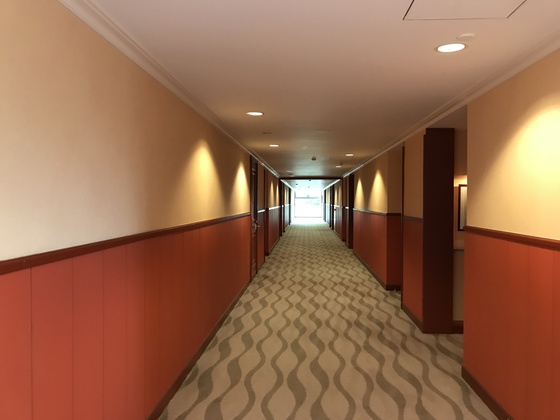 f:id:fuwari-x:20190829145924j:plain