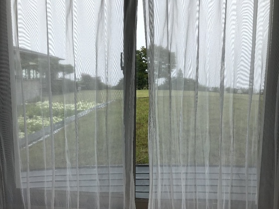 f:id:fuwari-x:20190829150007j:plain