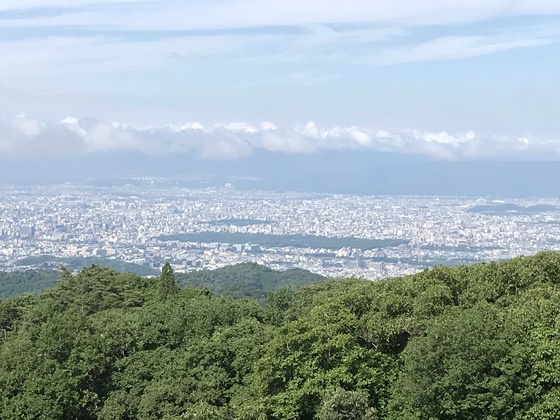 f:id:fuwari-x:20190829150445j:plain f:id:fuwari-x:20190829150445j:plain