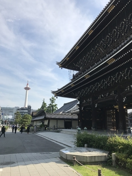 f:id:fuwari-x:20190829150618j:plain