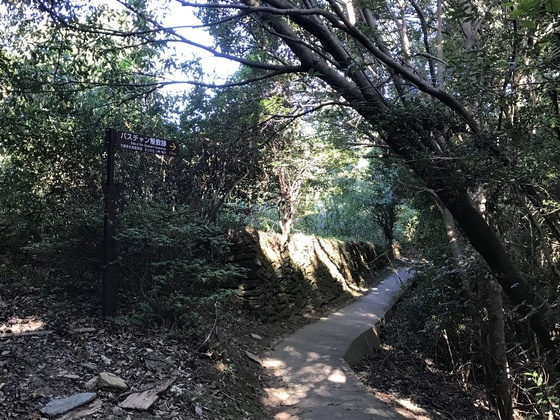 f:id:fuwari-x:20190829152023j:plain