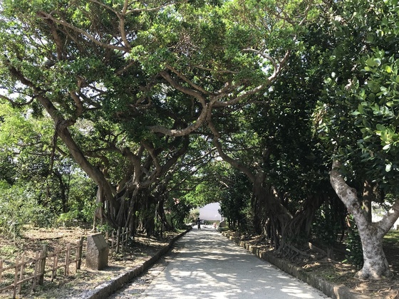 f:id:fuwari-x:20190829152436j:plain
