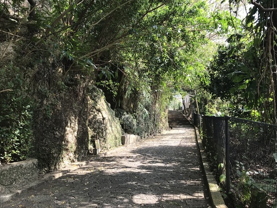 f:id:fuwari-x:20190829152542j:plain