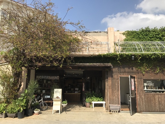 f:id:fuwari-x:20190829152732j:plain