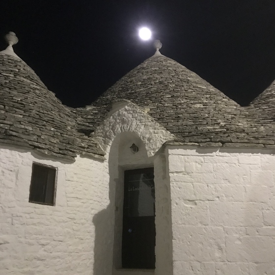 f:id:fuwari-x:20190830205401j:plain