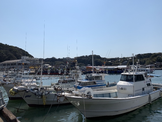 f:id:fuwari-x:20190903102921j:plain