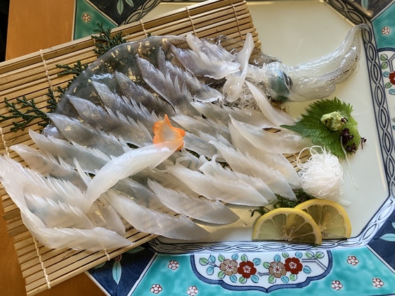 f:id:fuwari-x:20190903103026j:plain