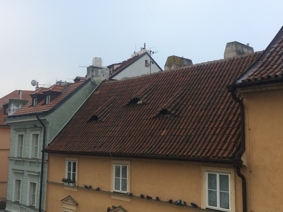 f:id:fuwari-x:20191108164401j:plain f:id:fuwari-x:20191108164401j:plain