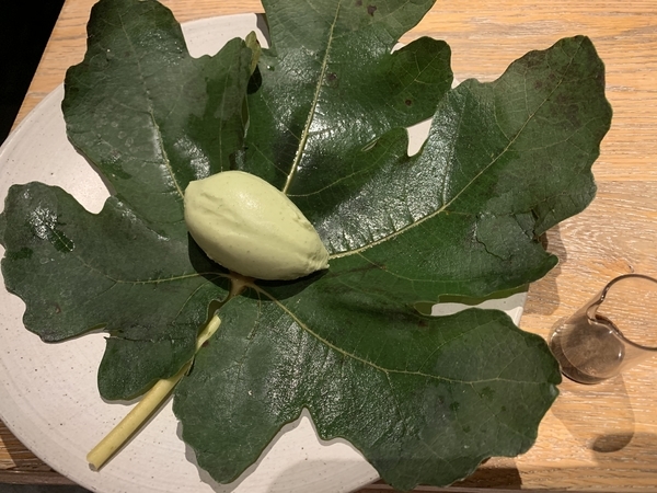 f:id:fuwari-x:20191114105746j:plain