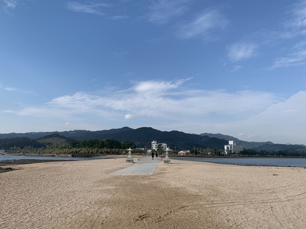 f:id:fuwari-x:20191114153652j:plain