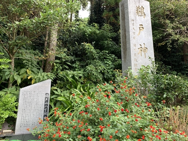 f:id:fuwari-x:20191115131051j:plain