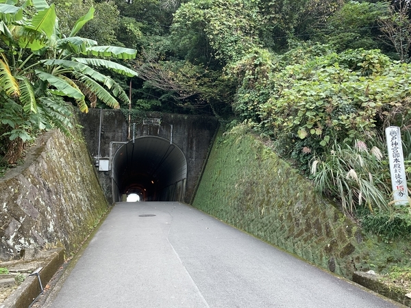 f:id:fuwari-x:20191115131103j:plain