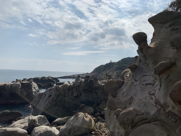 f:id:fuwari-x:20191115131503j:plain