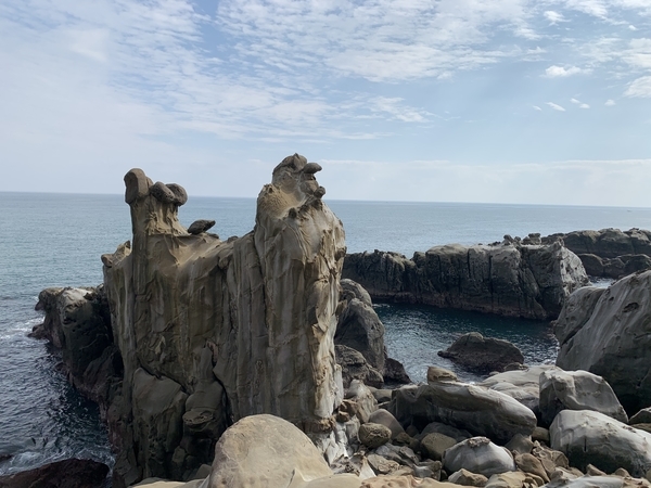 f:id:fuwari-x:20191115131514j:plain