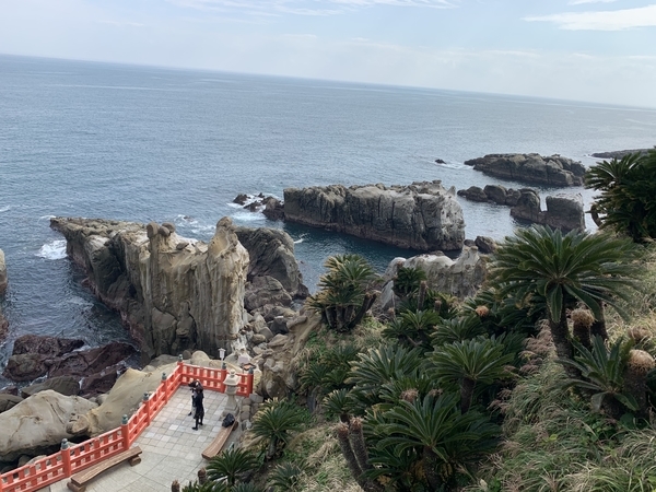 f:id:fuwari-x:20191115131622j:plain