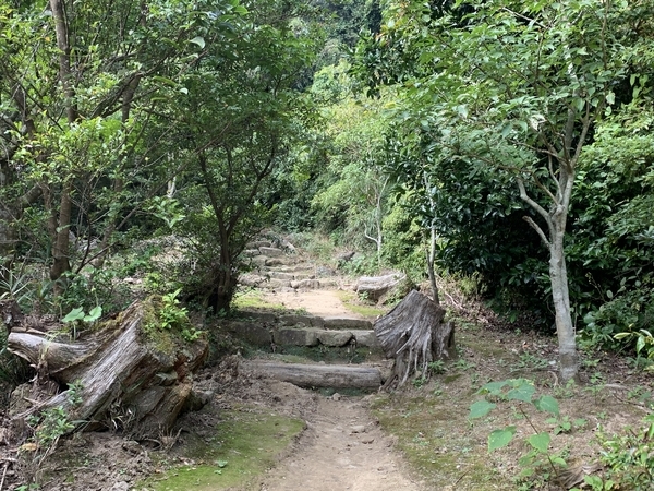 f:id:fuwari-x:20191115131751j:plain