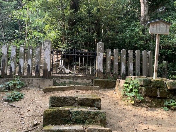 f:id:fuwari-x:20191115131804j:plain