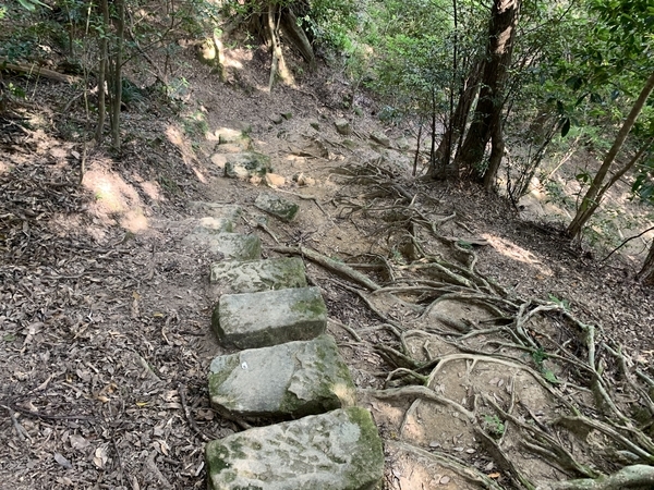 f:id:fuwari-x:20191115131816j:plain