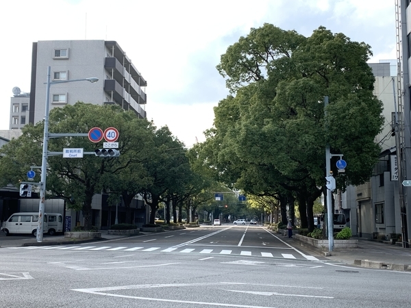 f:id:fuwari-x:20191115131929j:plain