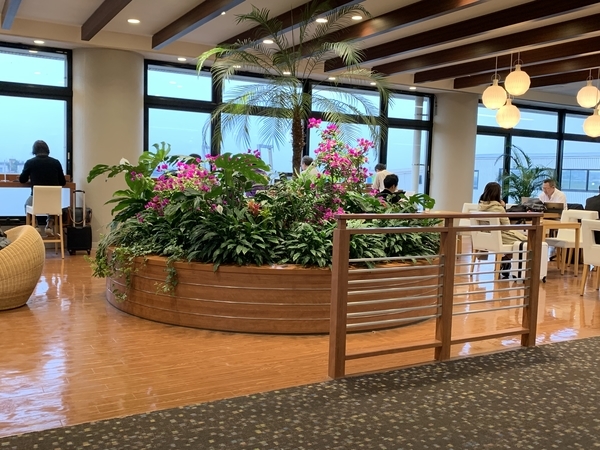 f:id:fuwari-x:20191115132220j:plain