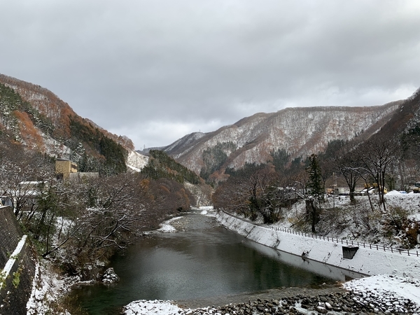 f:id:fuwari-x:20191204132445j:plain