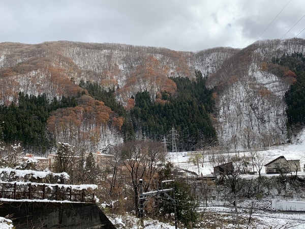 f:id:fuwari-x:20191204132456j:plain