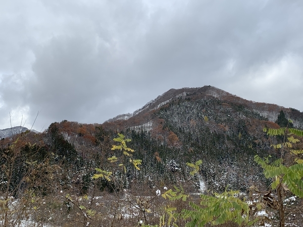 f:id:fuwari-x:20191204132809j:plain