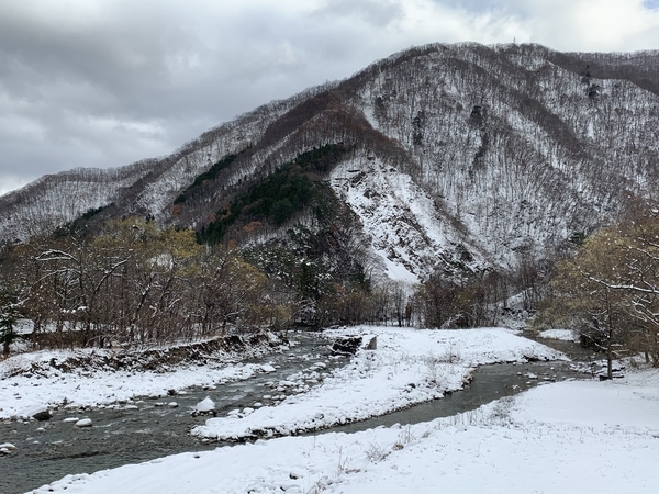 f:id:fuwari-x:20191204132833j:plain