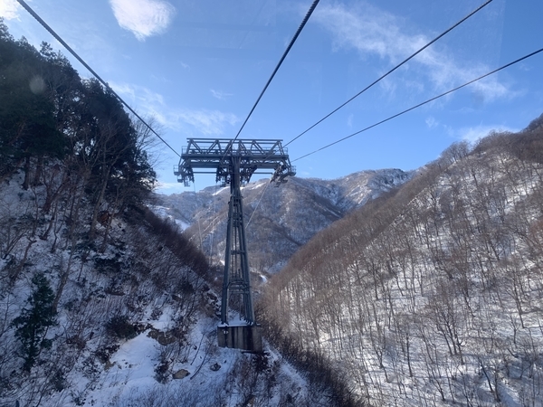 f:id:fuwari-x:20191206142900j:plain f:id:fuwari-x:20191206142900j:plain