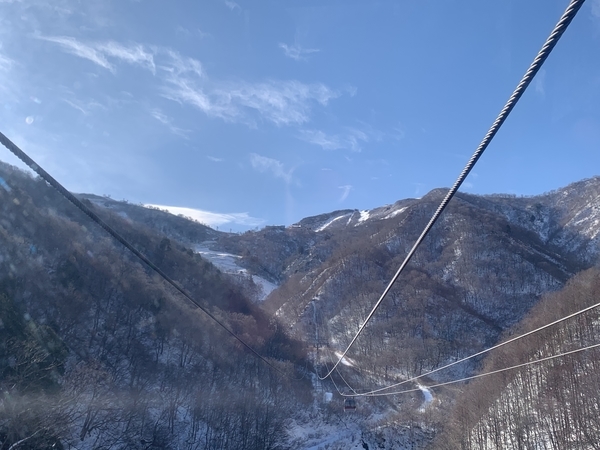 f:id:fuwari-x:20191206142915j:plain f:id:fuwari-x:20191206142915j:plain