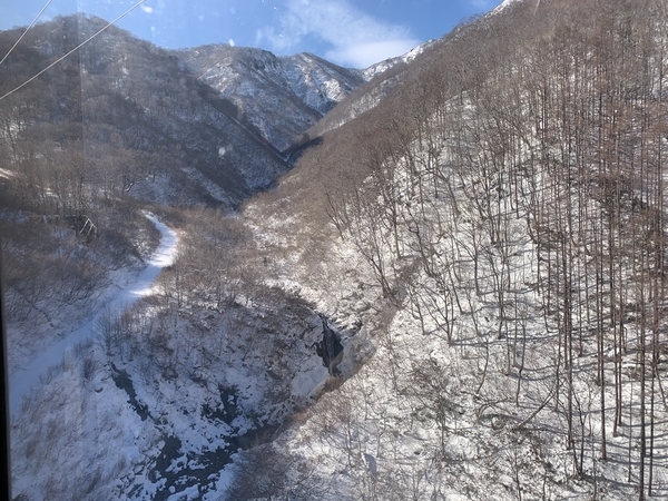 f:id:fuwari-x:20191206142924j:plain f:id:fuwari-x:20191206142924j:plain