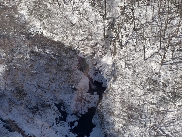 f:id:fuwari-x:20191206142935j:plain f:id:fuwari-x:20191206142935j:plain