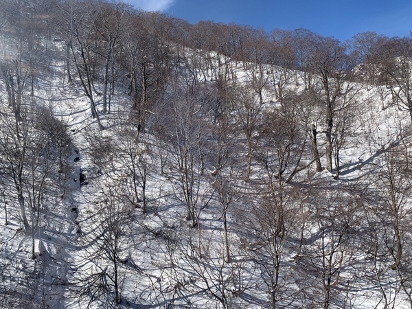 f:id:fuwari-x:20191206142949j:plain f:id:fuwari-x:20191206142949j:plain