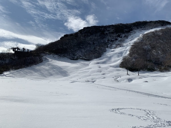 f:id:fuwari-x:20191206143618j:plain f:id:fuwari-x:20191206143618j:plain