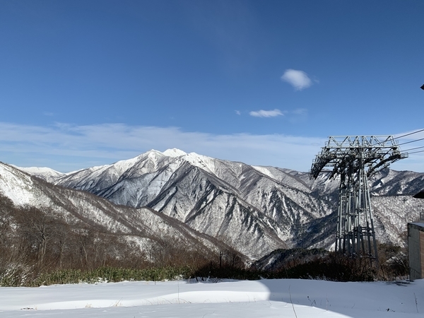 f:id:fuwari-x:20191206143629j:plain f:id:fuwari-x:20191206143629j:plain