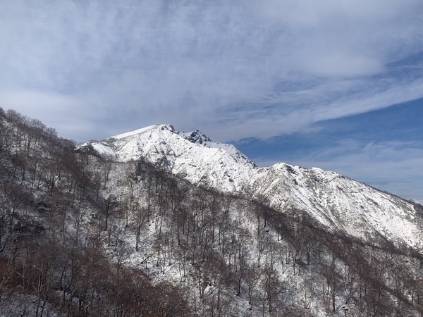 f:id:fuwari-x:20191206143723j:plain f:id:fuwari-x:20191206143723j:plain