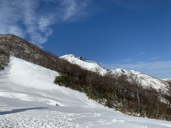 f:id:fuwari-x:20191206152852j:plain f:id:fuwari-x:20191206152852j:plain