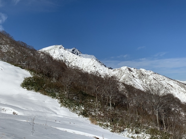 f:id:fuwari-x:20191206154548j:plain f:id:fuwari-x:20191206154548j:plain