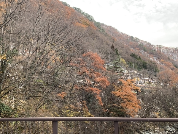 f:id:fuwari-x:20191209113621j:plain f:id:fuwari-x:20191209113621j:plain