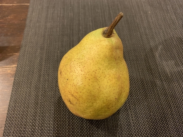 f:id:fuwari-x:20191209113740j:plain f:id:fuwari-x:20191209113740j:plain