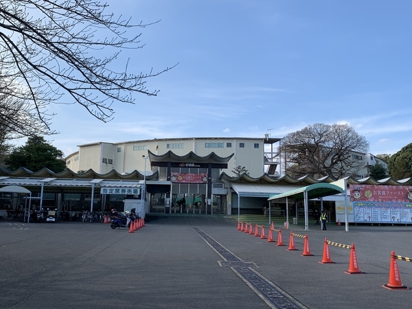 f:id:fuwari-x:20191220154340j:plain f:id:fuwari-x:20191220154340j:plain