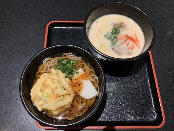 f:id:fuwari-x:20200131195215j:plain